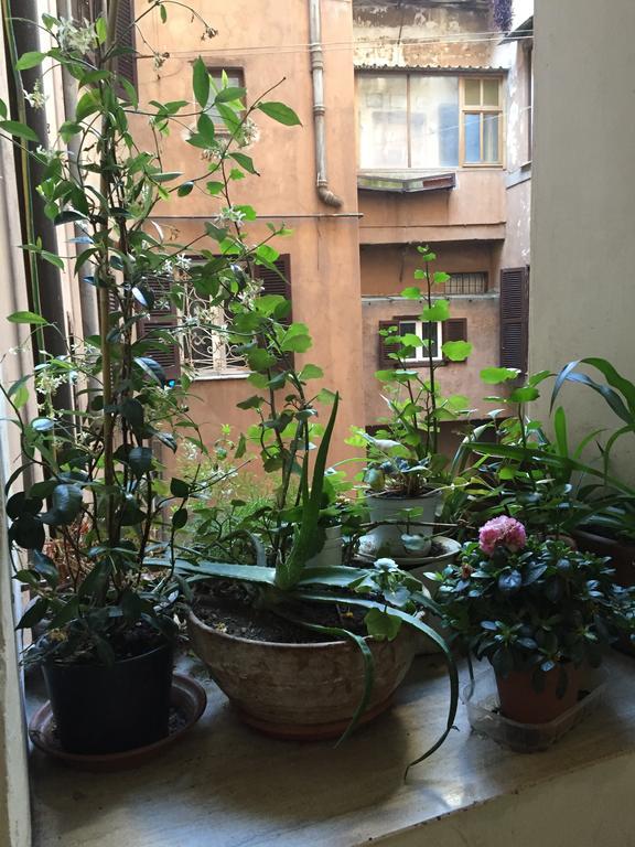 Appartement Casa Magiuli' Navona